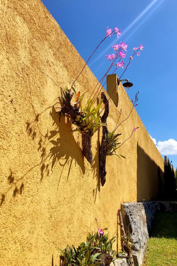 Sandunga Cabanas Boutique Tzintzuntzán エクステリア 写真