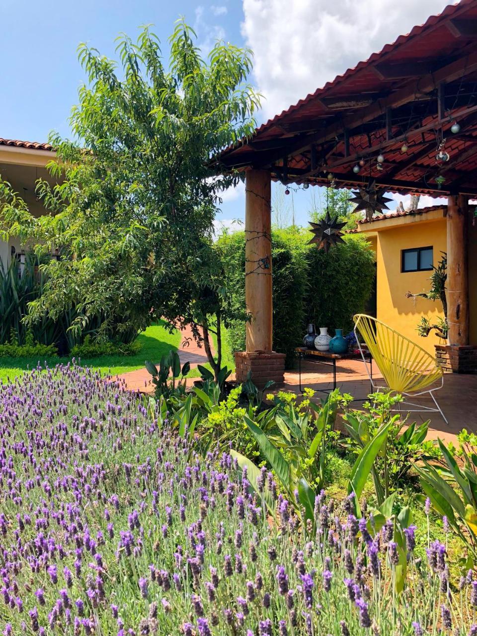 Sandunga Cabanas Boutique Tzintzuntzán エクステリア 写真